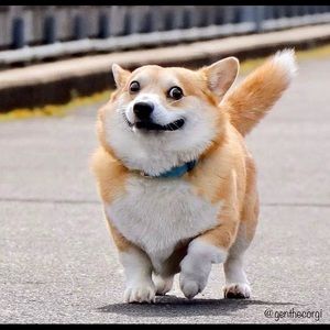 Meet your Posher, Devin